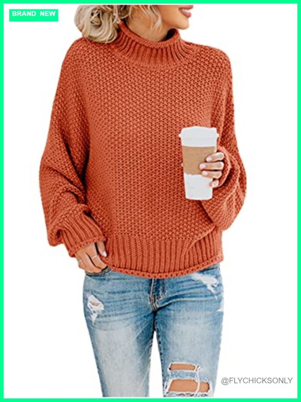 Oversized Turtleneck Batwing Long Sleeve Chunky Knit Pullover Sweater